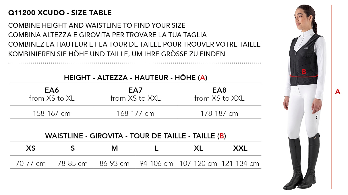Immagine guida alle taglie